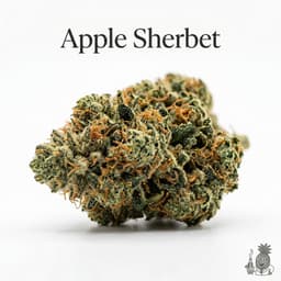 Apple Sherbet cannabis strain