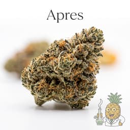 Apres cannabis strain