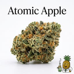 Atomic Apple cannabis strain