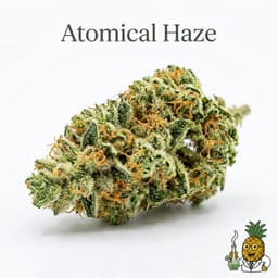 Atomical Haze cannabis strain