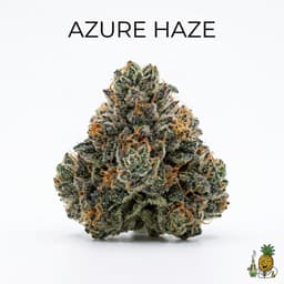 Azure Haze cannabis strain