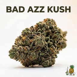 Bad Azz Kush cannabis strain