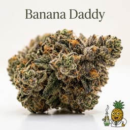 Banana Daddy cannabis strain