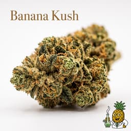 Banana Kush cannabis strain