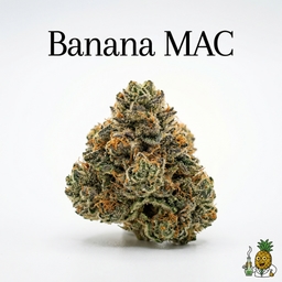 Banana MAC cannabis strain