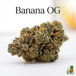 Banana OG cannabis strain