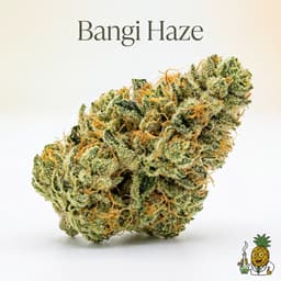 Bangi Haze cannabis strain
