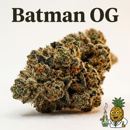 Batman OG cannabis strain