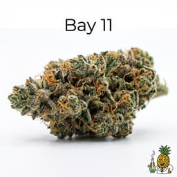 Bay 11 cannabis strain