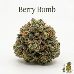 Berry Bomb cannabis strain
