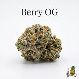 Berry OG cannabis strain