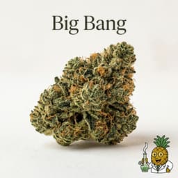 Big Bang cannabis strain