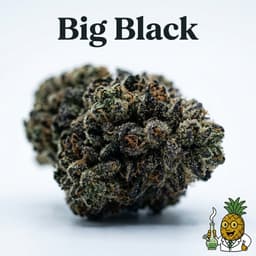 Big Black cannabis strain
