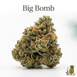 Big Bomb cannabis strain