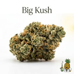 Big Kush cannabis strain
