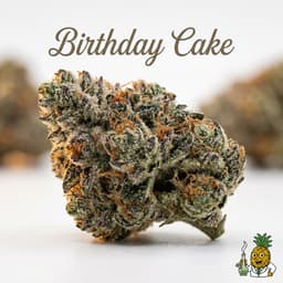 Birthday Cake cannabis strain