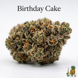 Birthday Cake cannabis strain