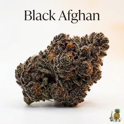 Black Afghan cannabis strain