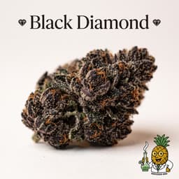 Black Diamond cannabis strain