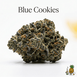 Blue Cookies cannabis strain