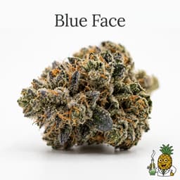 Blue Face cannabis strain