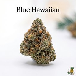 Blue Hawaiian cannabis strain