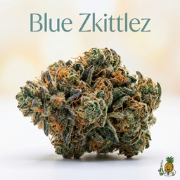 Blue Zkittlez cannabis strain