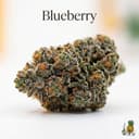 Blueberry