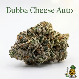 Bubba Cheese Auto cannabis strain
