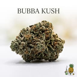 Bubba Kush cannabis strain