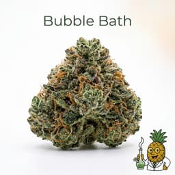 Bubble Bath cannabis strain