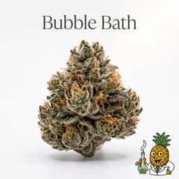 Bubble Bath cannabis strain