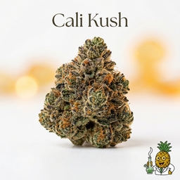 Cali Kush cannabis strain