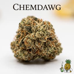 Chemdawg cannabis strain