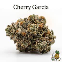 Cherry Garcia cannabis strain