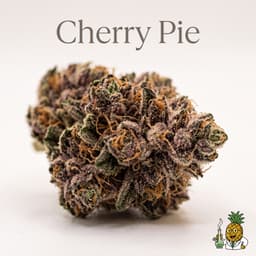 Cherry Pie cannabis strain