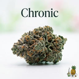 Chronic cannabis strain