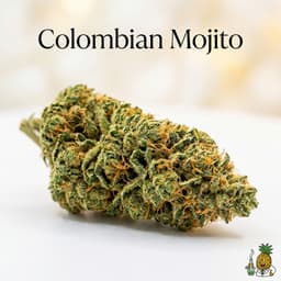 Colombian Mojito cannabis strain