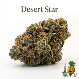 Desert Star cannabis strain