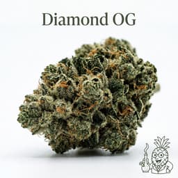 Diamond OG cannabis strain