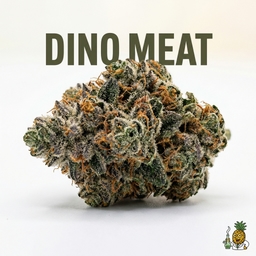 Dino Meat cannabis strain