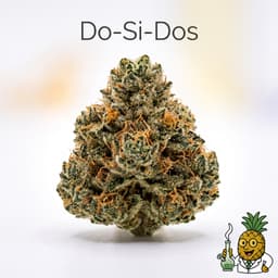Do-Si-Dos cannabis strain