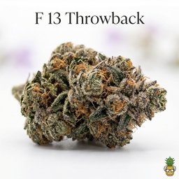 F 13 Throwback cannabis strain