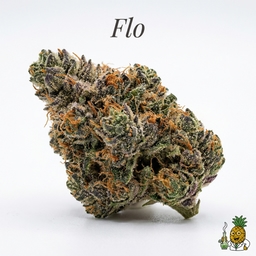 Flo cannabis strain