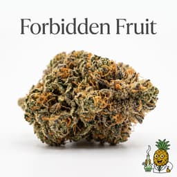 Forbidden Fruit cannabis strain