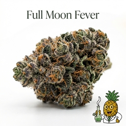 Full Moon Fever cannabis strain