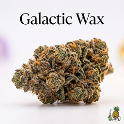 Galactic Wax cannabis strain