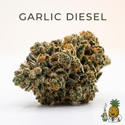 garlic diesel bud