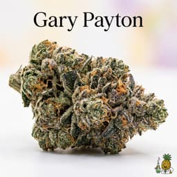 Gary Payton cannabis strain