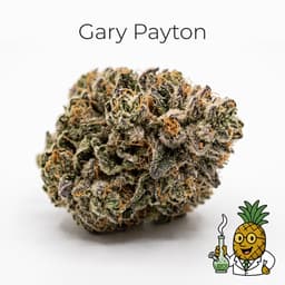 Gary Payton cannabis strain
